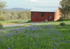 Texas T Bed and Breakfast