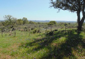 Texas T Bed and Breakfast