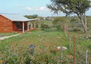 Texas T Bed And Breakfast
