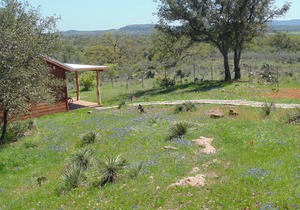 Texas T Bed And Breakfast