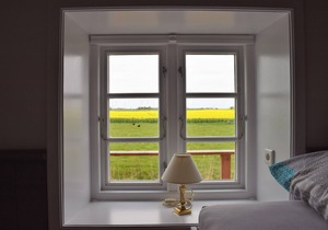 Thatched roof, fence, WLAN, sauna, fireplace, six persons