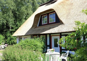 Thatched roof house with proximity to the Baltic Sea, outdoor sauna, playground & large garden