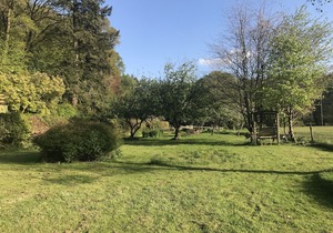 The Bark House