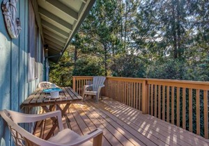 The Beach Cabin MCA 736 - Meredith Lodging