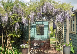 The Beauty Shed
