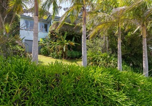 The Blue Bach - Coopers Beach Holiday Home