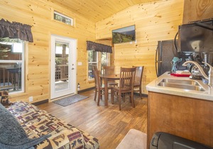 The Blue Devil Cabin #5
