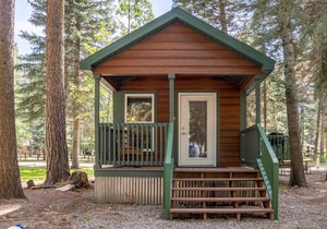 The Blue Devil Cabin #5