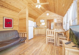 The Blue Spruce Cabin #16