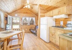 The Blue Spruce Cabin #16