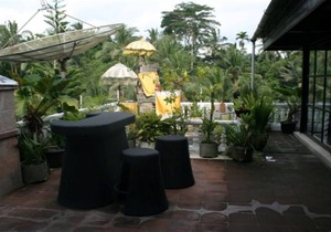 The Bungalow in the Jungle