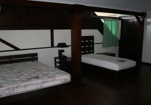 The Bungalow in the Jungle