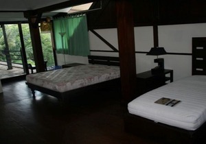 The Bungalow in the Jungle