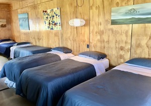 The Camel at Araiawai Lodge, Pukenui. Modern & S/C open-plan, sleeps 2-6,