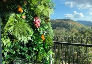 The courtyard khaoyai by Tom