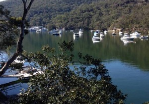 The LOWER DECK Berowra Waters