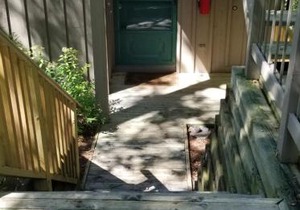 The M22 Hawks Nest Condo #29