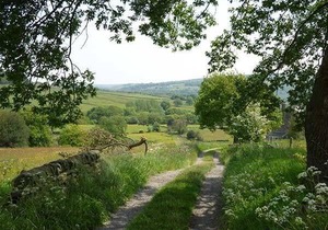 The Mistle Carr Farm