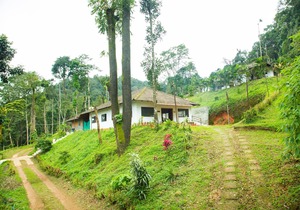 The Nest Bettathur Coorg 005