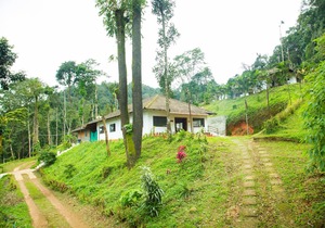 The Nest Bettathur, Coorg Ct 003