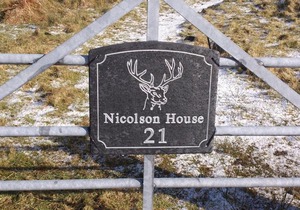 The Nicolson House