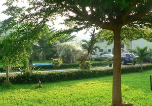 The Oaks : Where nature meets love, security and peace