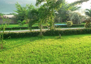 The Oaks : Where nature meets love, security and peace