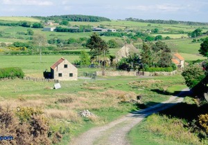 The Old Cow Byre