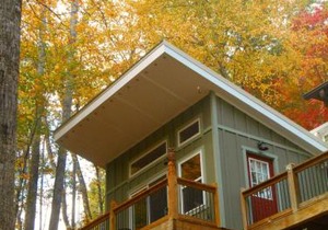 The Owl's Perch