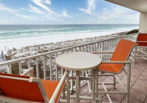 The Palms 401
