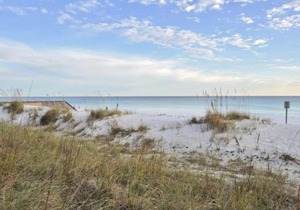 The Palms 401