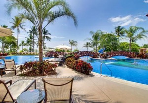 The Palms 501