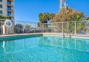 The Palms #501