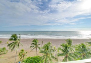 The Palms 603