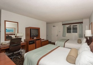 The Perfect Group Escape! 2 Modern Units, Free Parking, Pets Are Welcome!