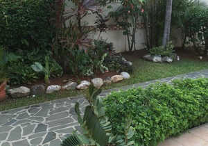 The Perfect Home To Enjoying St. Lucia