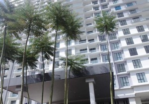 The Platino Homestay@ Paradigm JB