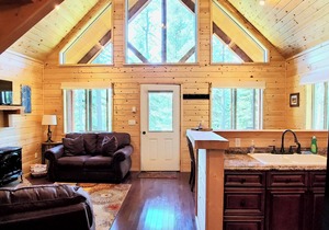 The Ridge At Glacier/Alpine Cabin #5