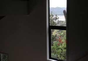 The Tairua Tree House
