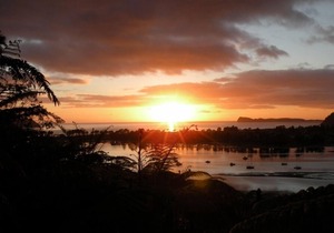 The Tairua Tree House