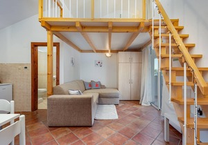 The three functionally furnished apartments are located in the small island village of Gabonjin, not