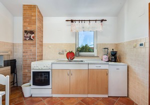 The three functionally furnished apartments are located in the small island village of Gabonjin, not