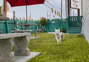 The Thunderbird Inn