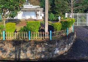 The View at Glenloch - Home Stay