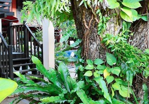 The Village House