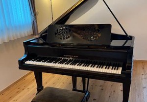 The Villa with a YAMAHA C6X - Villa Muse Okinawa- Vacation STAY 43827v