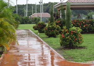 The White Pearl of Caymanas Coubtry Club Estate