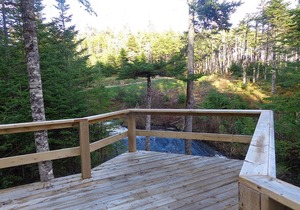 The Wilds at Salmonier River