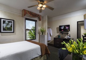 The Willows Hotel