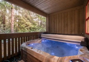 The Woods by Outpost Whistler